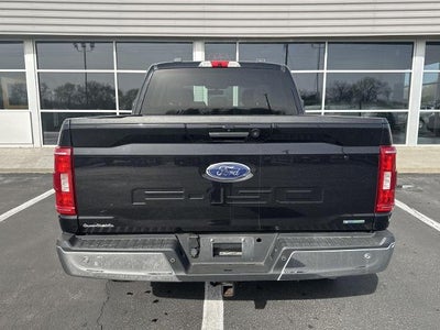 2021 Ford F-150 XLT 4WD SuperCrew 5.5' Box